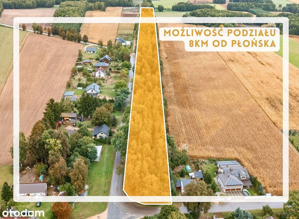 2,37ha ziemi z możliwością podziału tylko 8km od Płońska