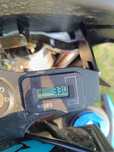 Cross Viper RFZ 140