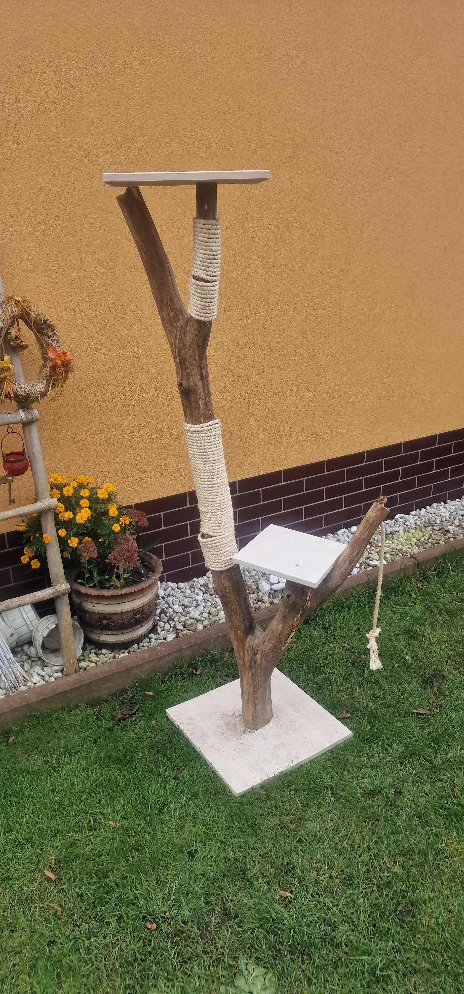 drapak dla kota na gałęzi