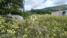 Terreno Urbano de 4.495m2 em Couto S. Miguel, Sto. Tirso