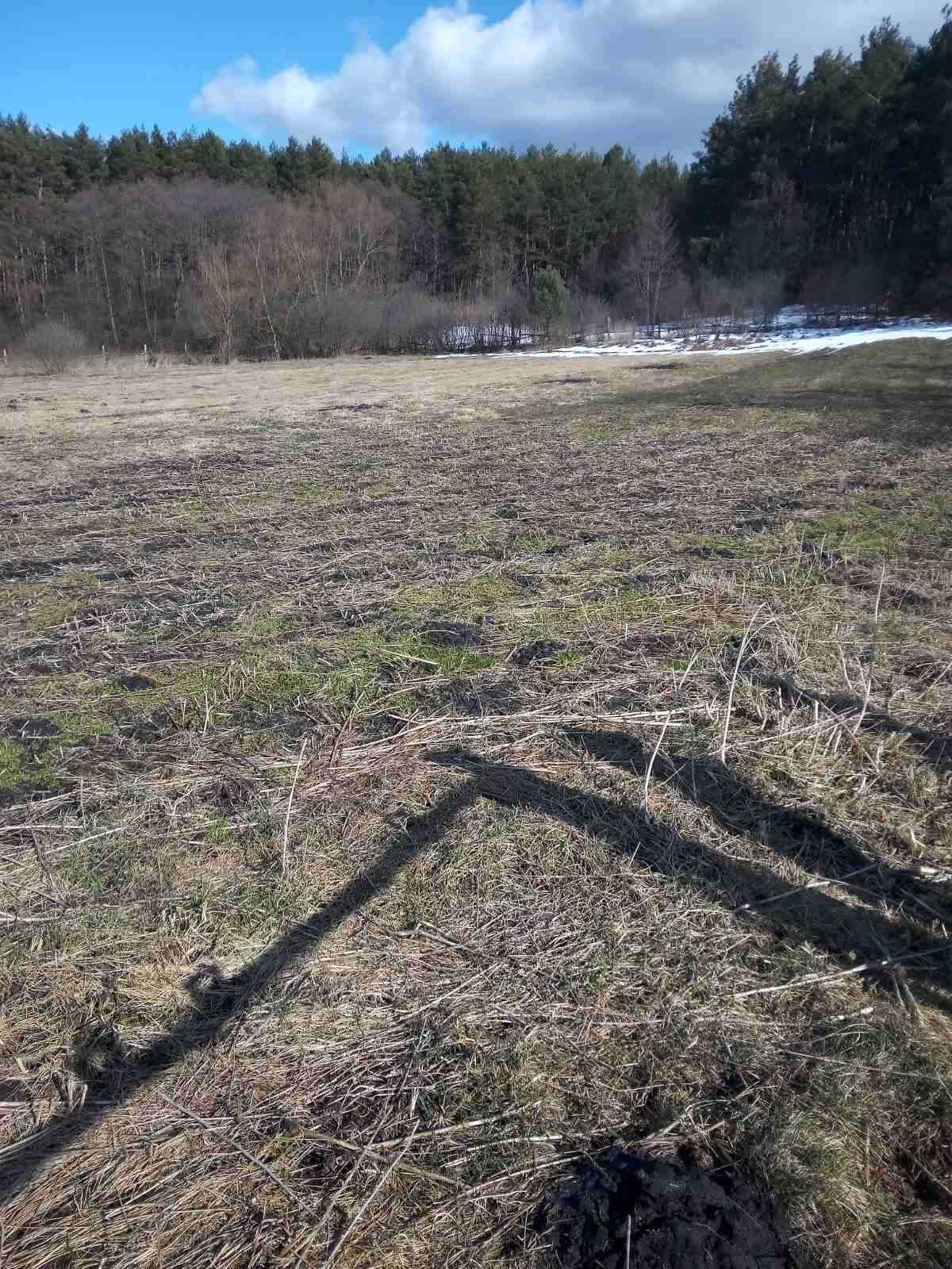 Продаж зем. ділянок під забудову біля лісу с. Карачинів