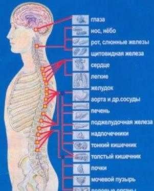 Божественне Вирівнювання  - енергетичний сеанс (онлайн/офлайн)