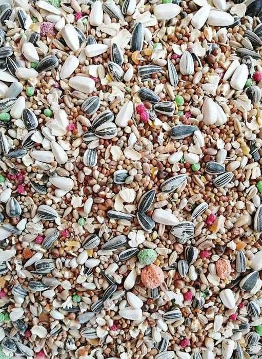 Karma dla papugi średniej, z prosem i słonecznikiem, 10kg