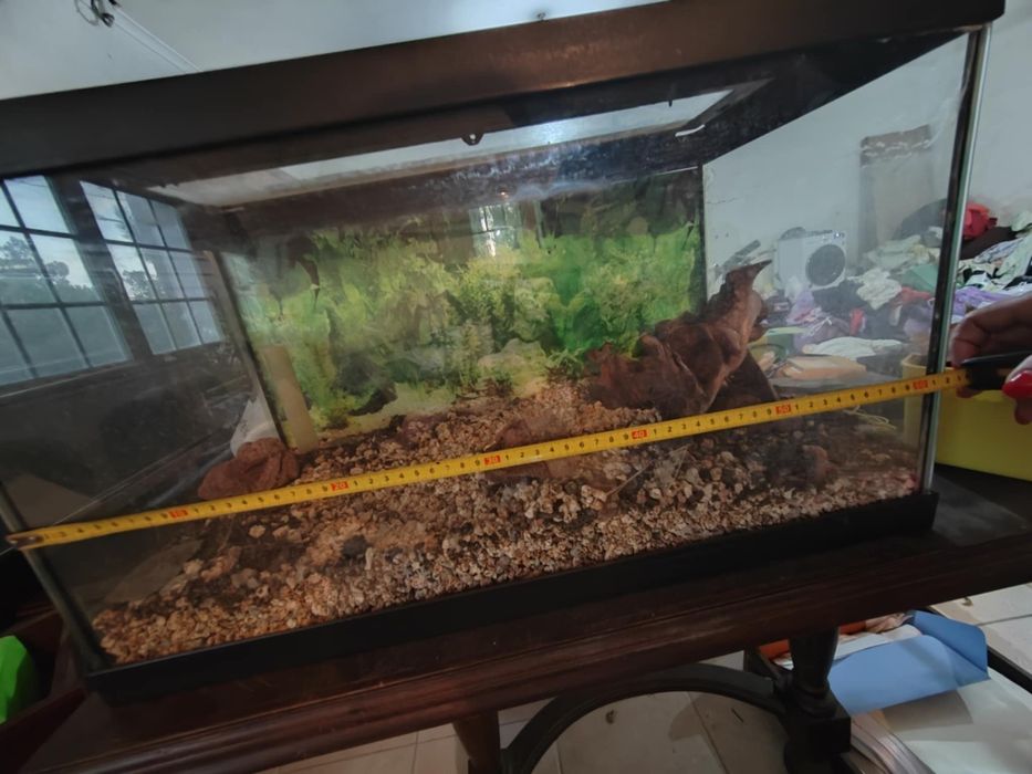 Aquário para peixes