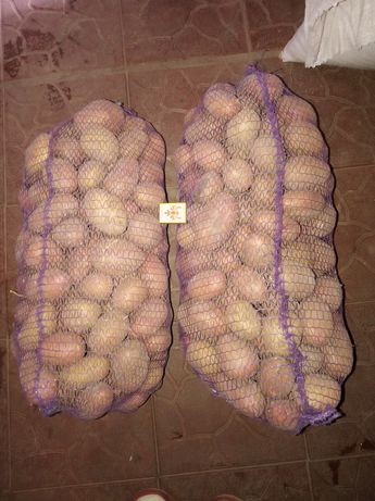 Картошка картопля картофель  /мішок 20кг