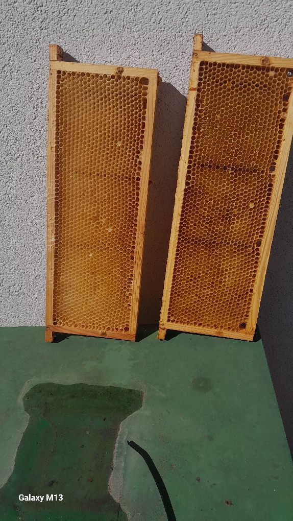 Susz pszczeli, ramka Wielkopolska 1/2