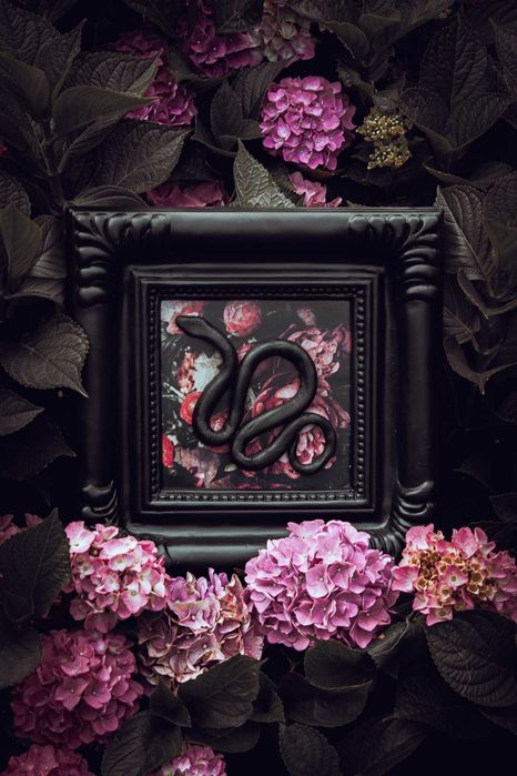 Gotycka Barokowa Ramka z Wężem i Kwiatami Dekoracja Ścienna Goth