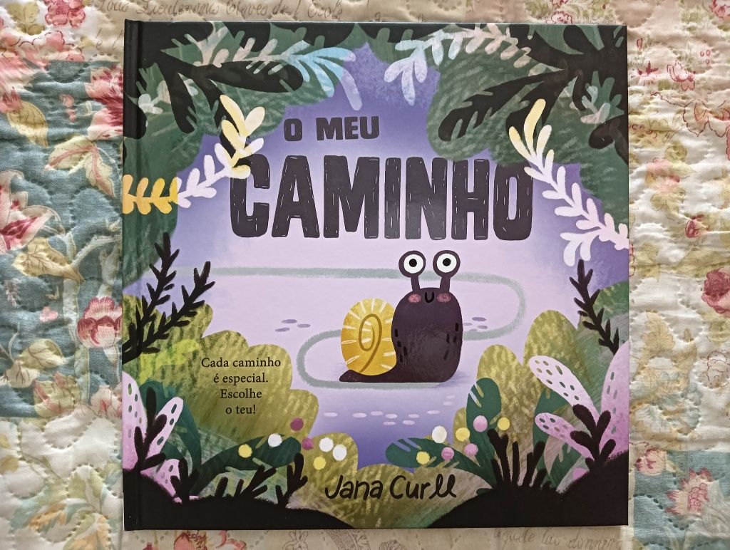 Livro O meu caminho