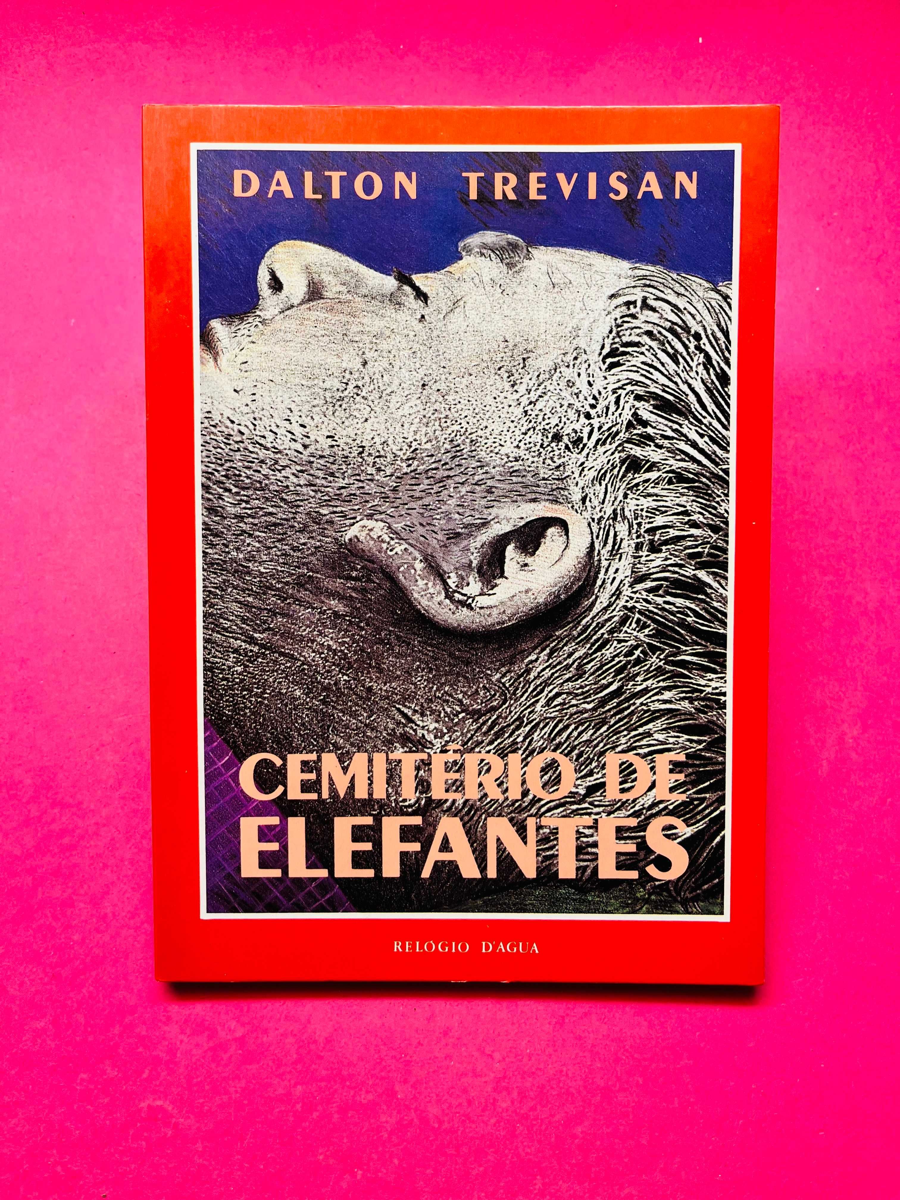 Cemitério de Elefantes - Dalton Trevisan