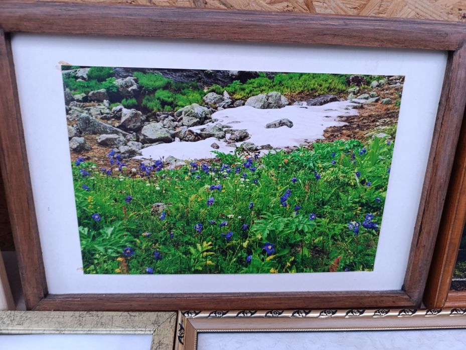 Картина на стену фотография  в рамках картинка в рамке природа пейзаж