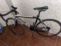 Orbea orca.