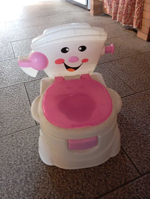 O ideal para o seu filho começar o desfralde