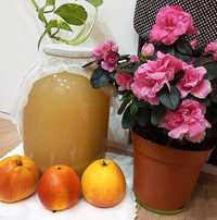 Домашний натуральный яблочный яблучний уксус (оцет) на мёду с маткой