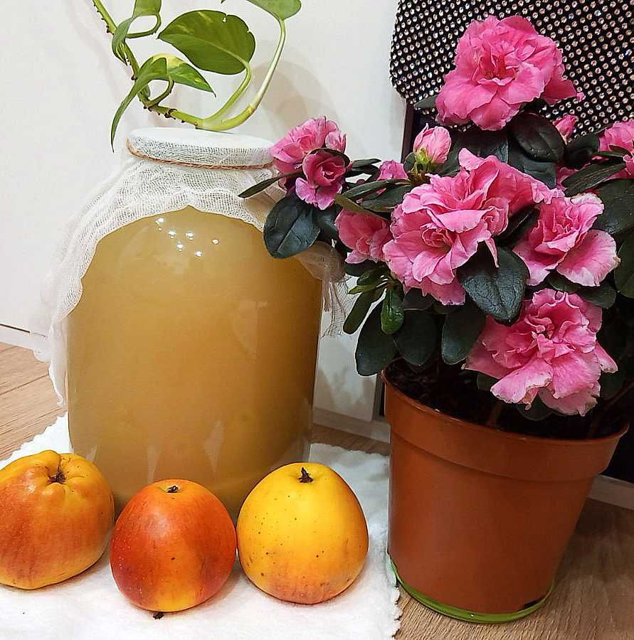 Домашний натуральный яблочный яблучний уксус (оцет) на мёду с маткой