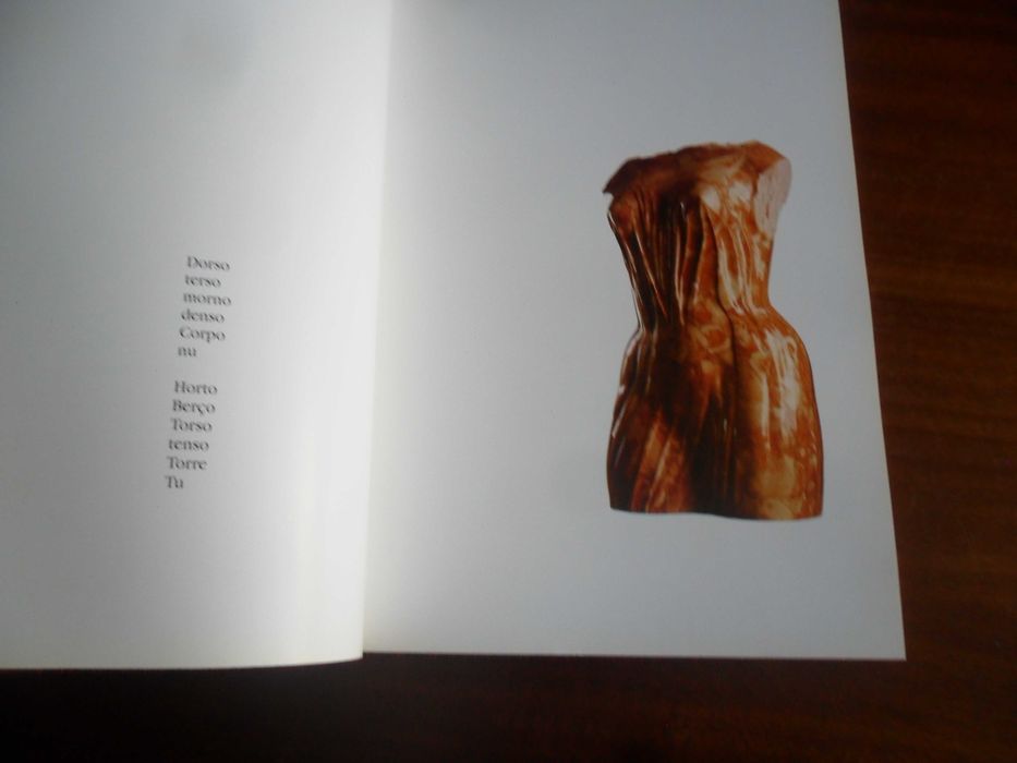 "Francisco Simões, Esculturas e David Mourão-Ferreira, Poesias"
