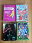 Livros Juvenis_Óptimo estado