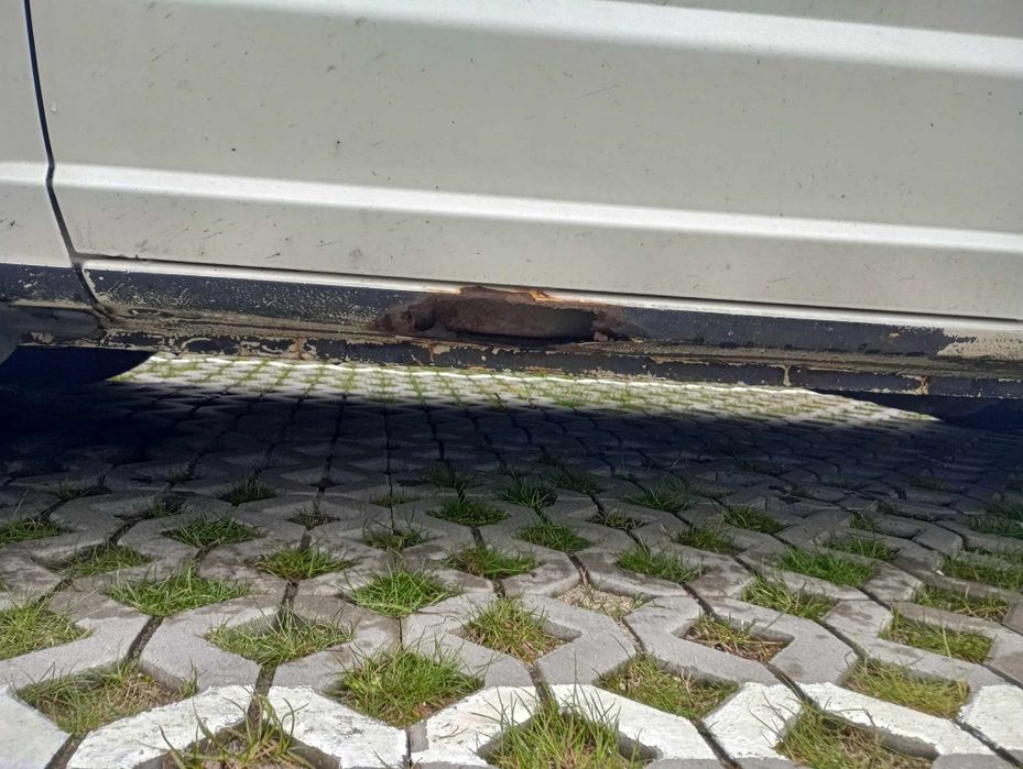 Dodge caliber 2009 1.8 b