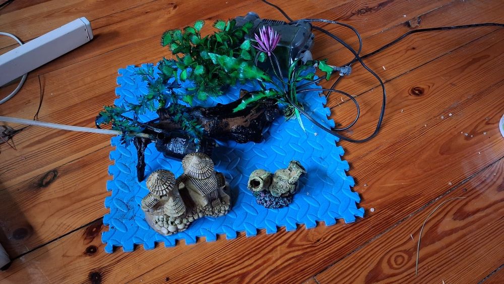 Akcesoria do akwarium - Filtry, Rośliny, Zamek i więcej