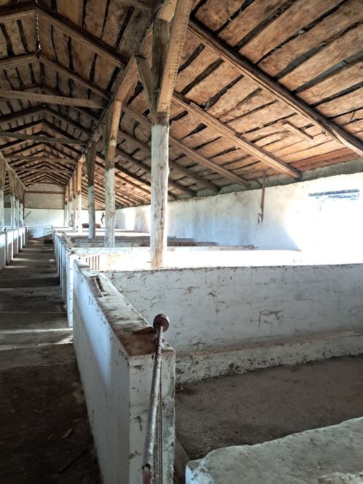 Продаж сільгосп.будівлі Свинарник