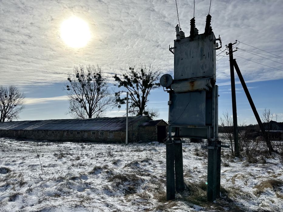 Оренда нежитлового (комерційного) приміщення. Свинокомплекс