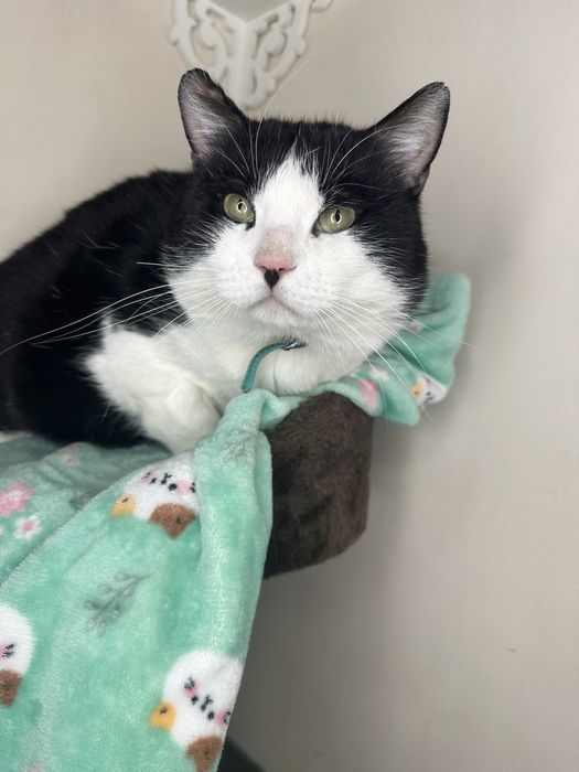 Боренька очень ищет любящую семью