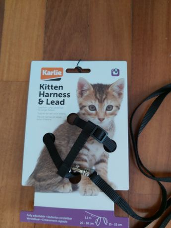 Kitten Peitoral com Trela