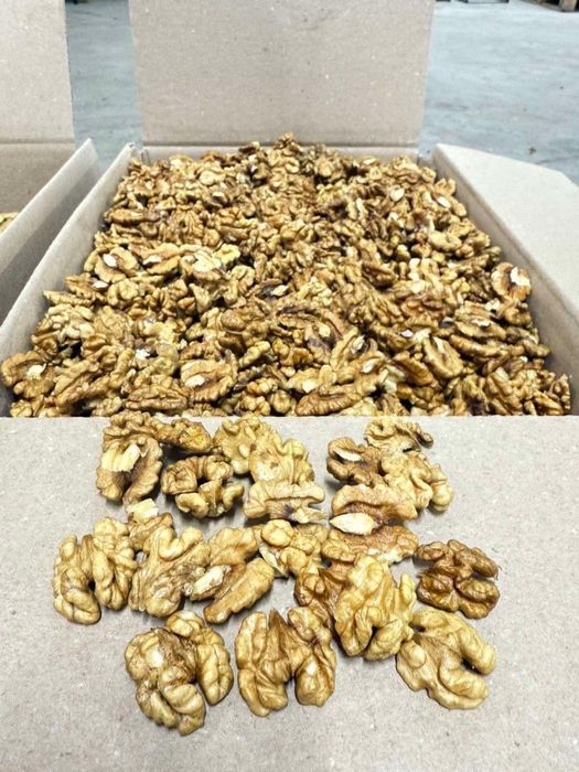 Грецкие  орехи  ( бабочки   ) урожай  2025