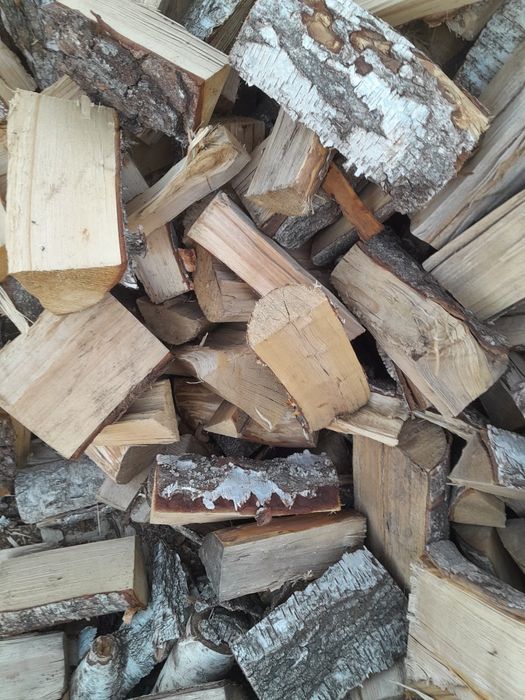Drewno kominkowe brzoza sucha