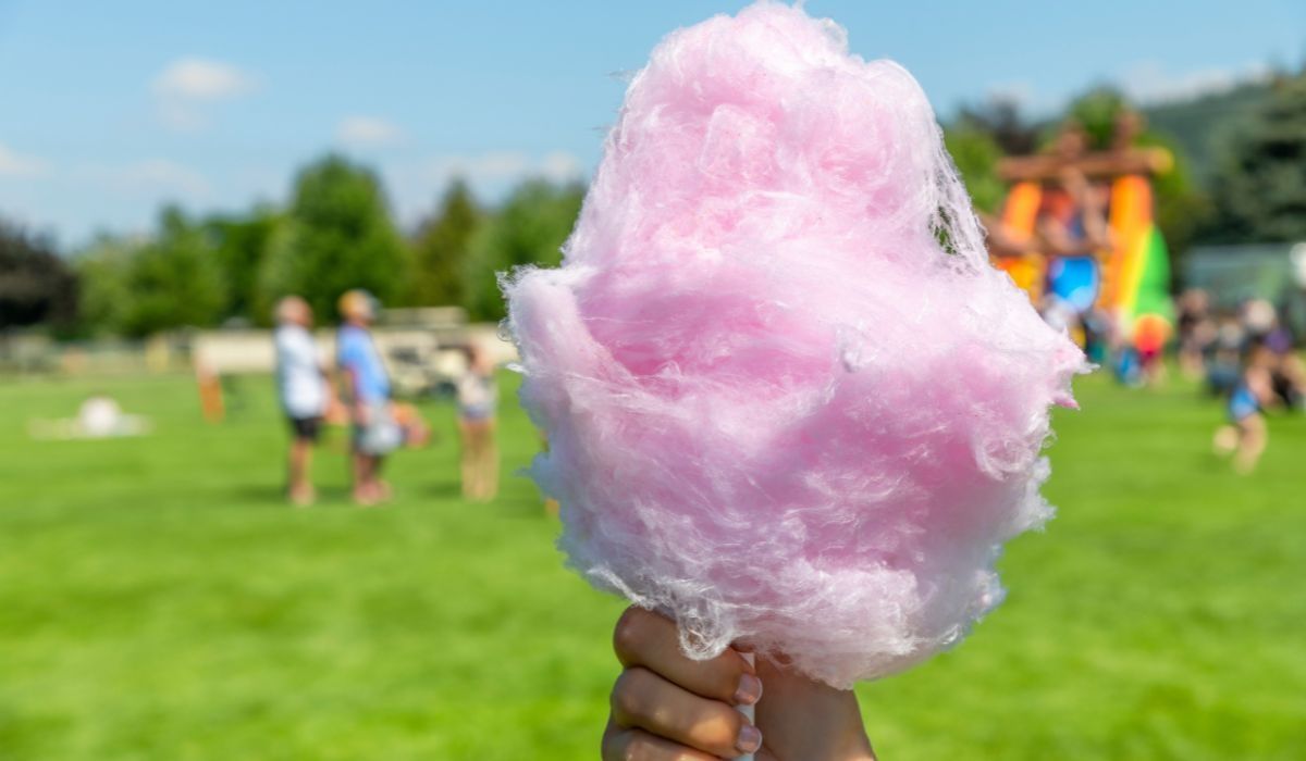 Lody włoskie, sorbety, wata cukrowa, popcorn