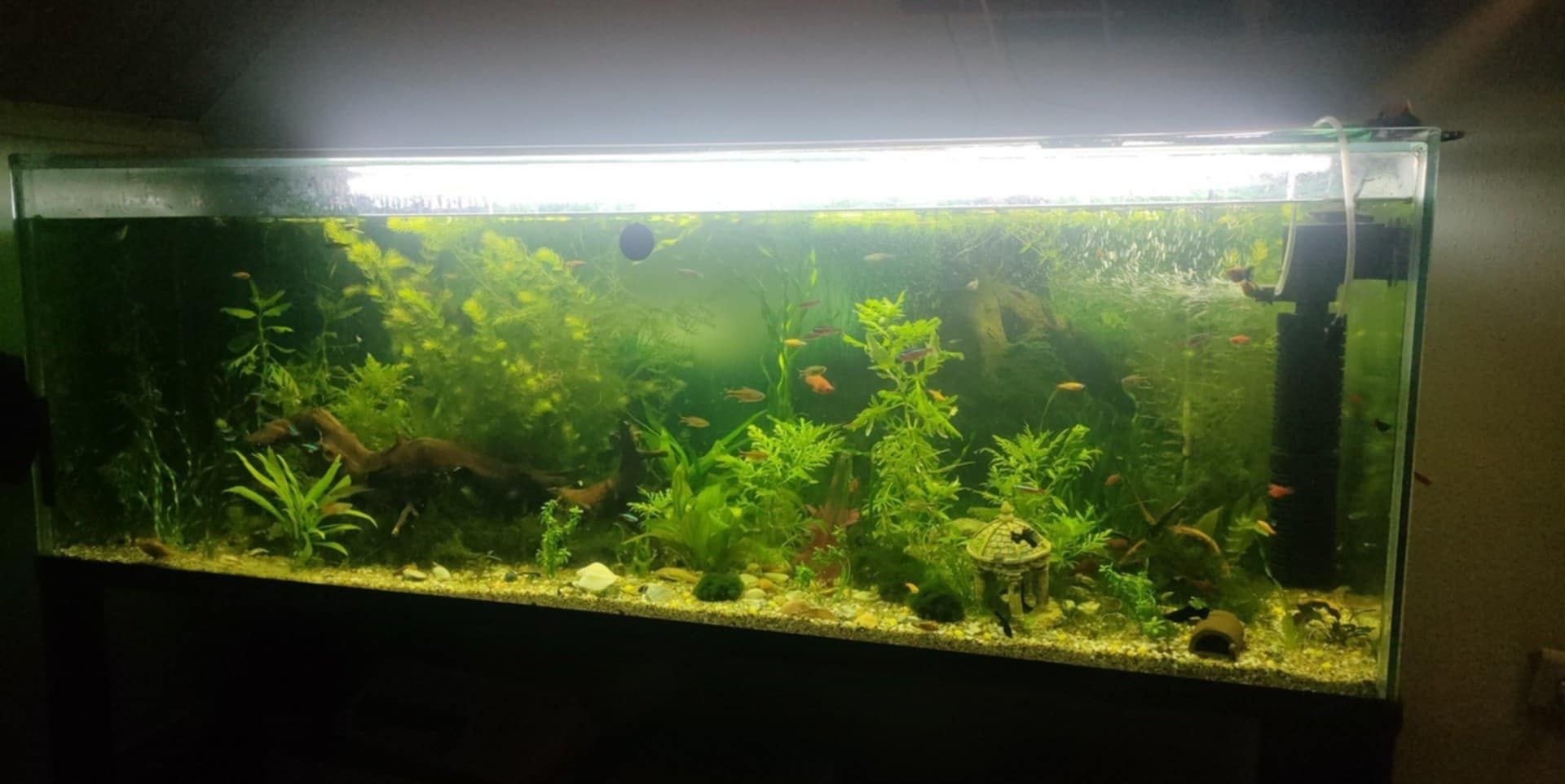 Akwarium 400L + Stojak
