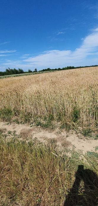 Земельна ділянка пай