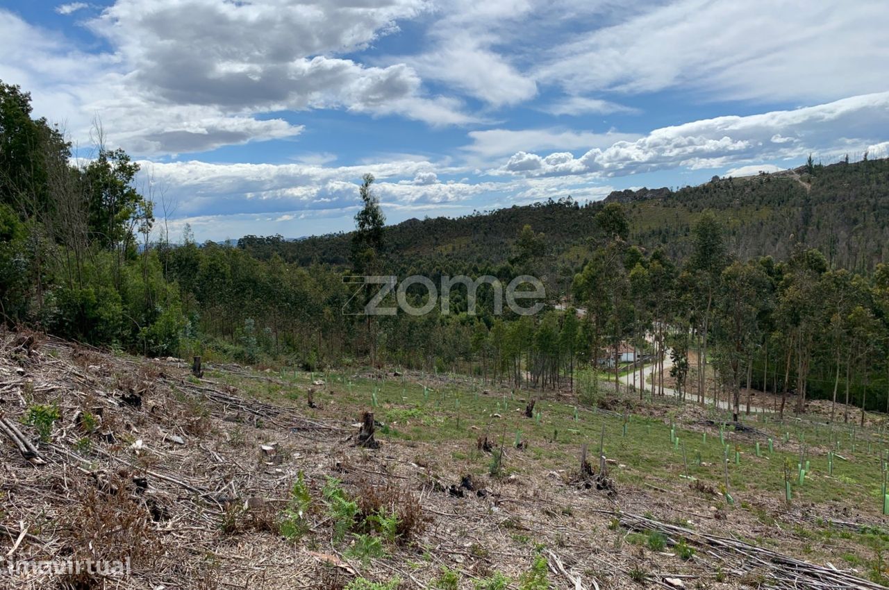 Terreno para exploração florestal e agrícola - Santa Justa, Valongo