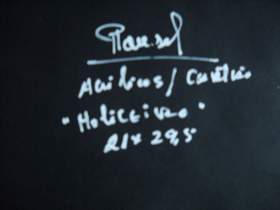 POUSEL -Quadro de pintura Original - Acrilico sobre cartão "Moliceiro"