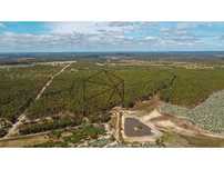 Herdade com 168 hectares em Ponte de Sôr para venda