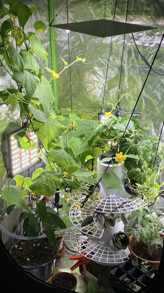 Hydroponic Tower Garden. Гідропонічна вертикальна установка.