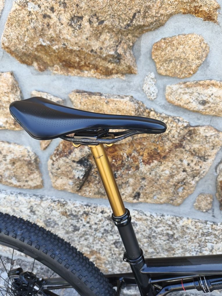 Specialized Epic Sworks