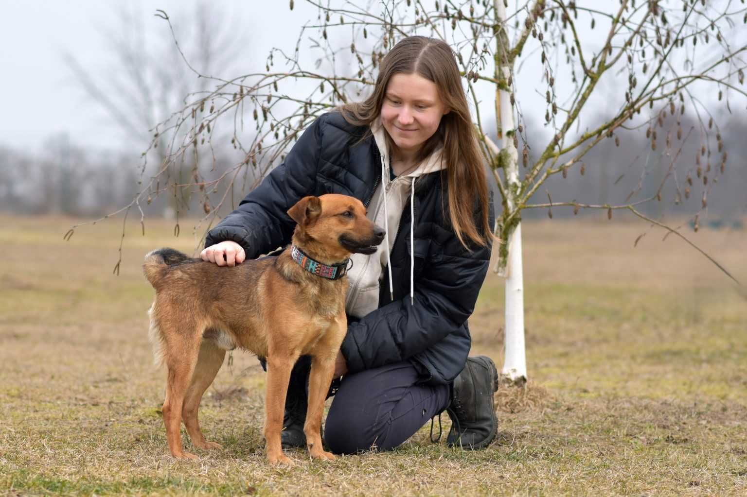 Tofik - wesoły i towarzyski psiak rozkochujący w sobie ludzi