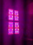 Lampa led grow 300w