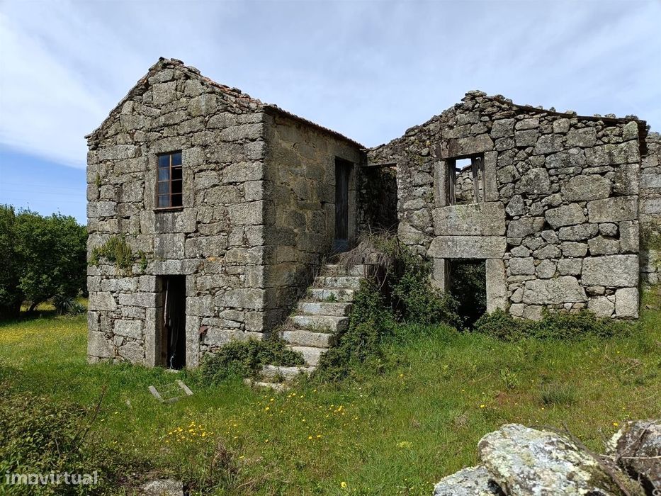 Quinta  Venda em Tavares (Chãs, Várzea e Travanca),Mangualde