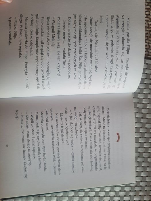 Magiczne Drzewo Tajemnica Mostu