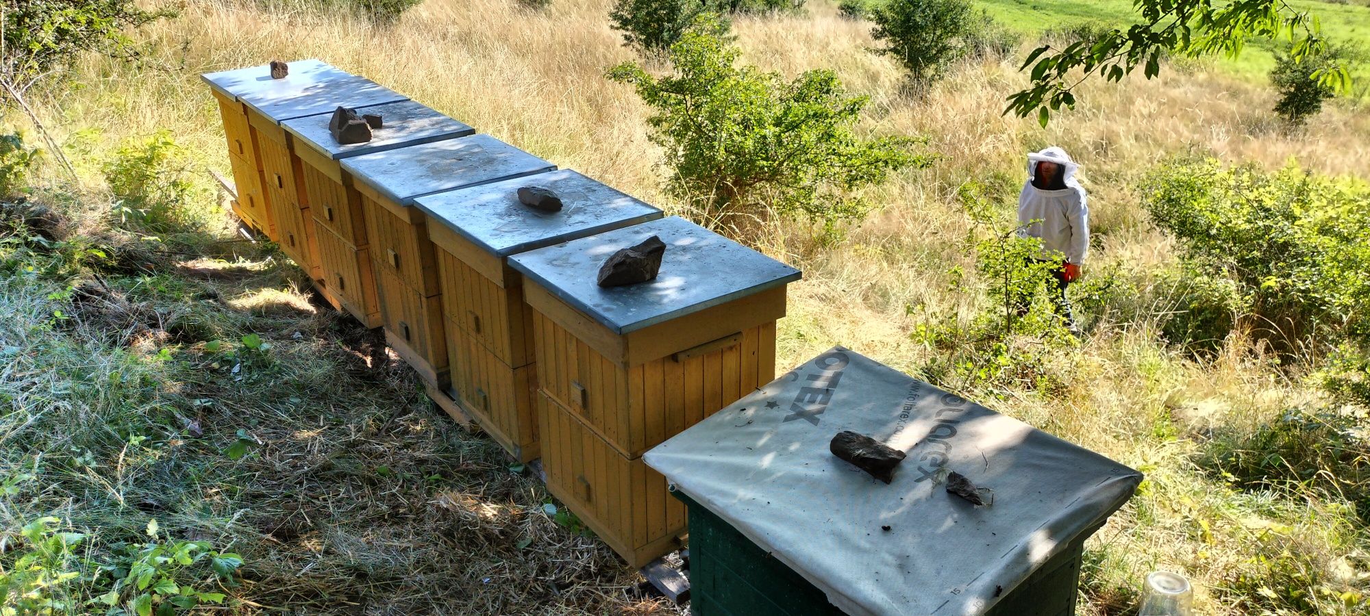 Ule pszczele,Sułkowski wielkopolskie, pasieka, pszczoły,miodarka..