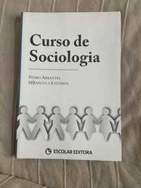 Livro curso de sociologia