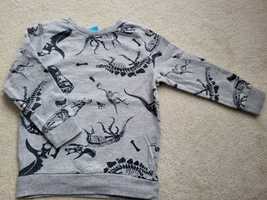 Bluza z dinozaurem rozmiar 110