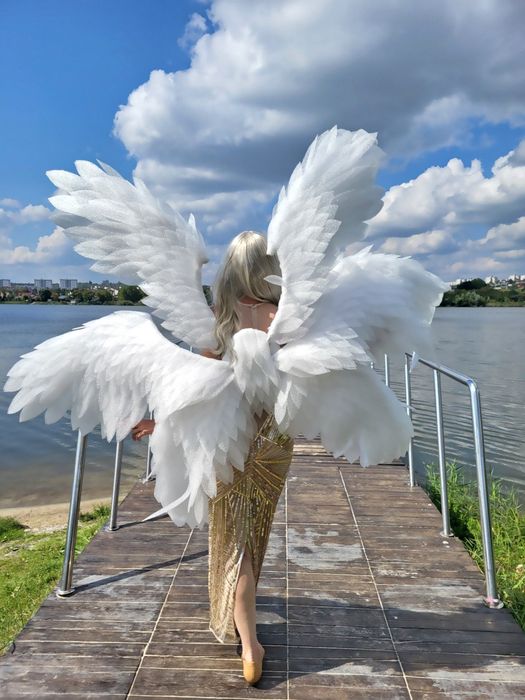 Крылья шестикрылого ангела