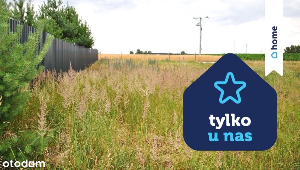 Działka z WZ - Łachowo