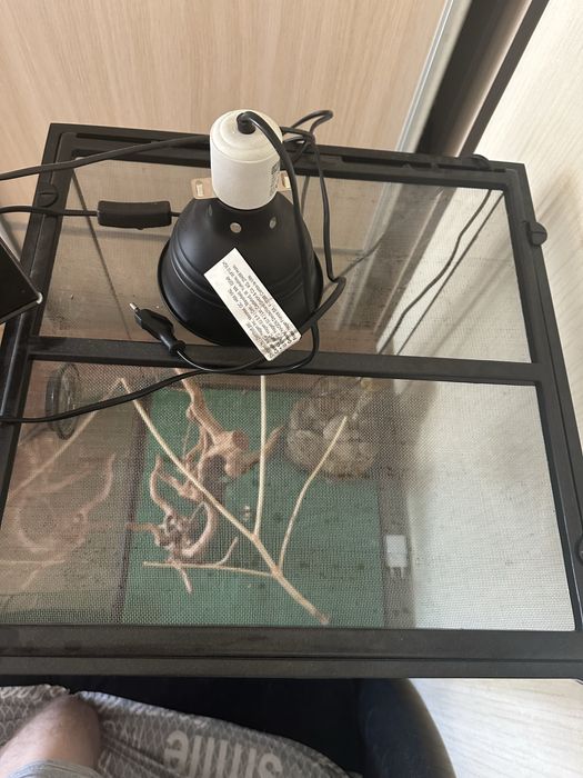 Терариум высота60х40длинна