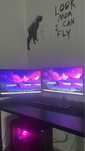 Komputer Gamingowy | RTX 2060, i5 9600KF, 16GB RAM + Monitor GRATIS