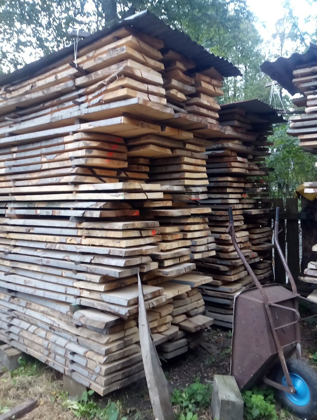 Brzoza foszty 50  deska calówka i 25 sezonowane