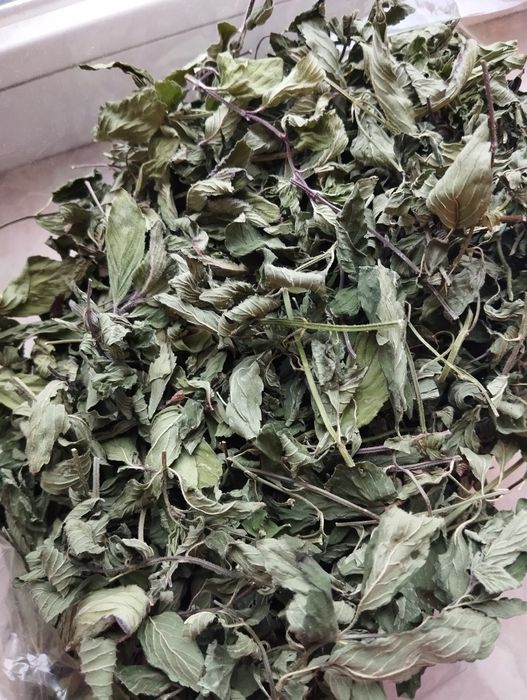 Мята сушеная листья