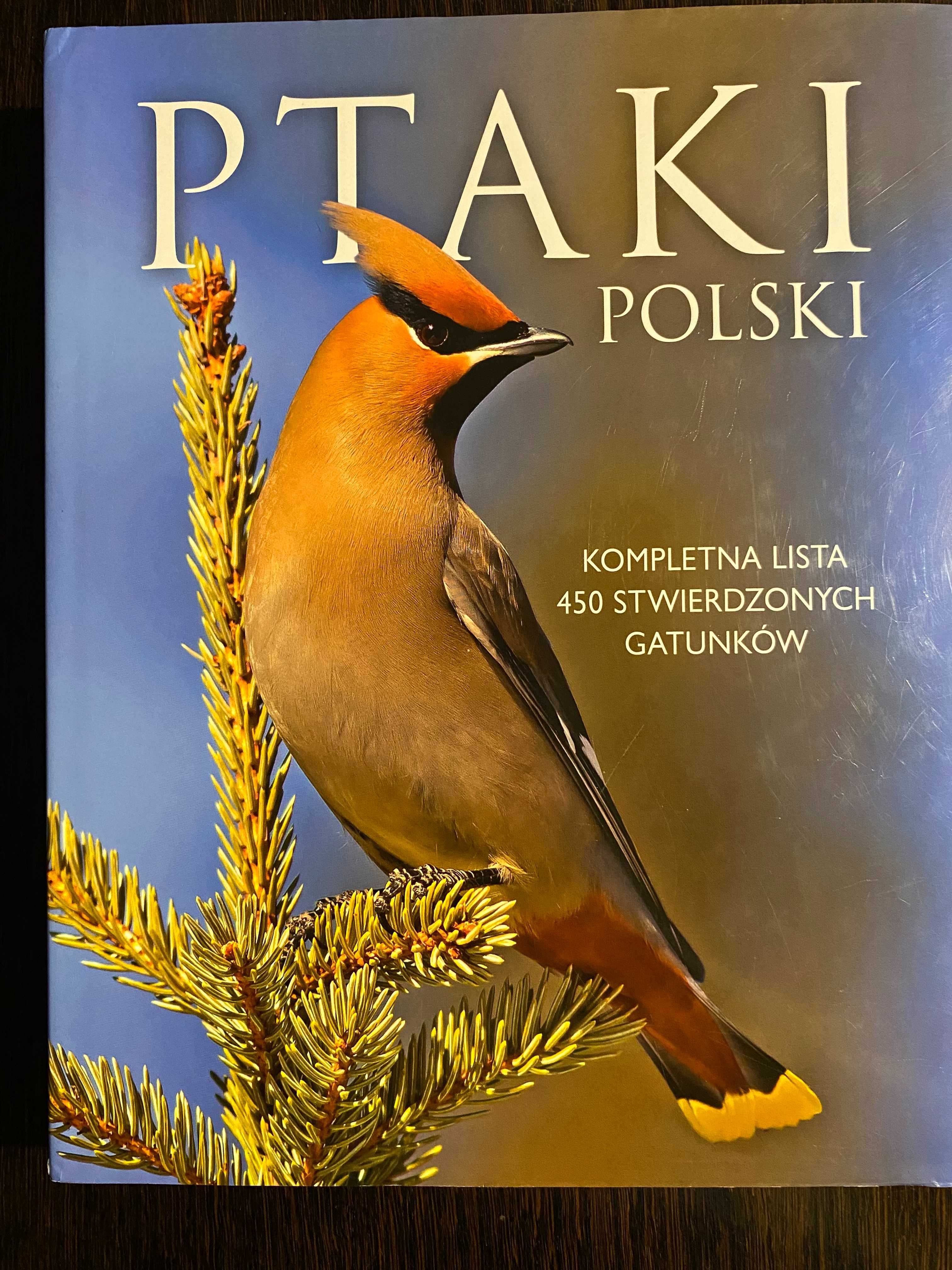 Ptaki Polski. Kompletna lista 450 stwierdzonych gatunków